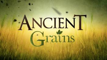 Ancient Grains